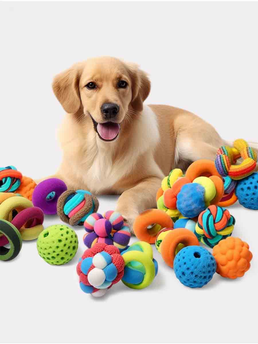 Interactive Pet Toys